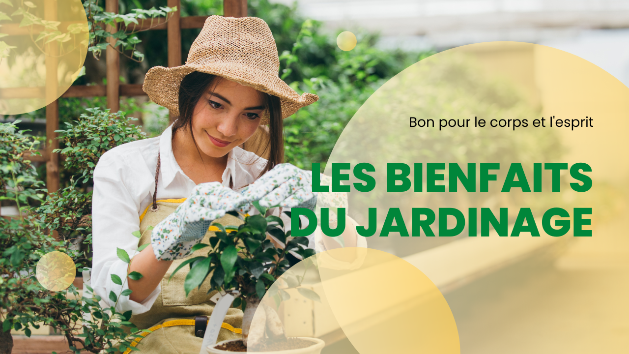 Jardinage et Détente : Comment créer un espace de relaxation dans votre jardin